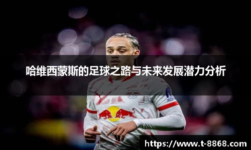 8868体育网页版在线